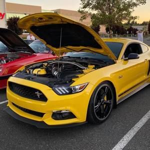 Meet your Posher, Daniel